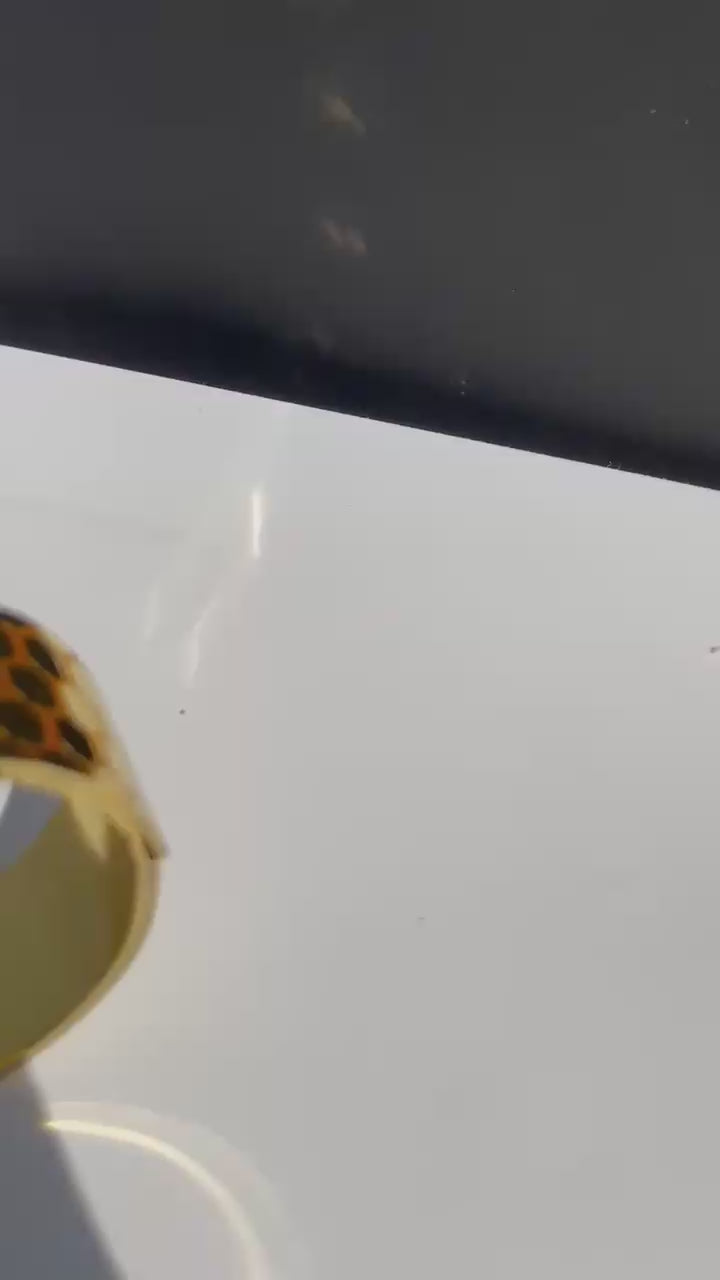 Extremely Beautiful Handcuff